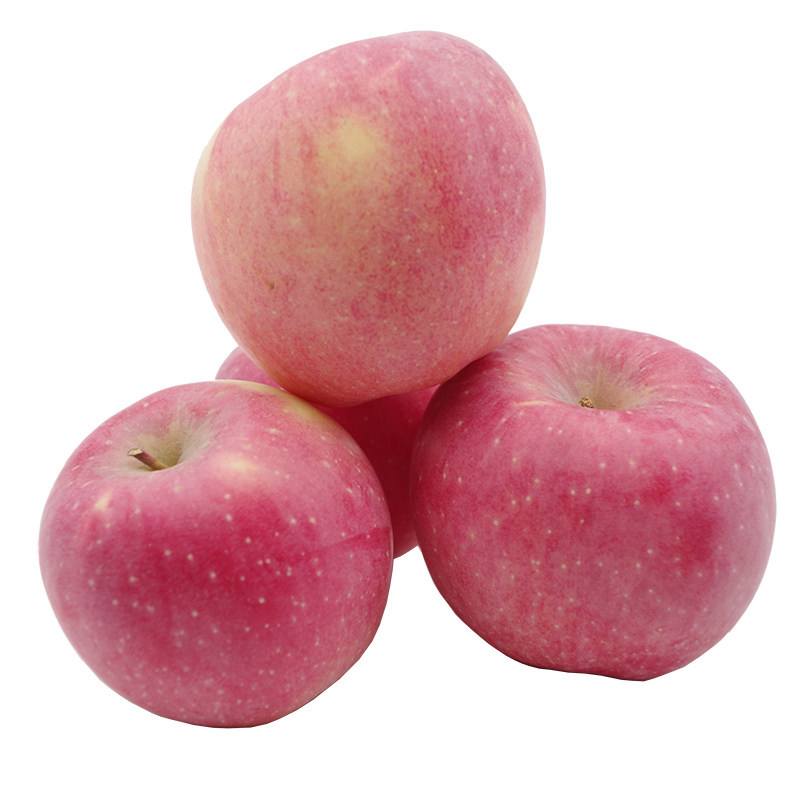 现货苹果(现货苹果今日批发价格)